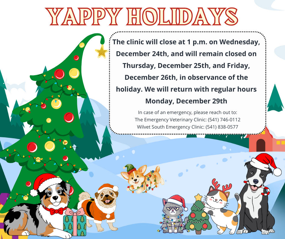 christmas hours 25- canva