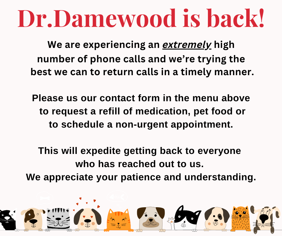 best animal urgent care near me